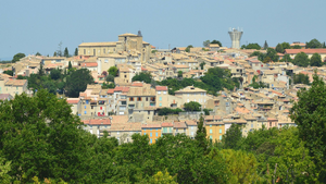Traitement punaises de lit Manosque
